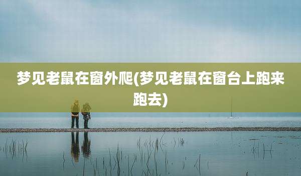 梦见老鼠在窗外爬(梦见老鼠在窗台上跑来跑去)