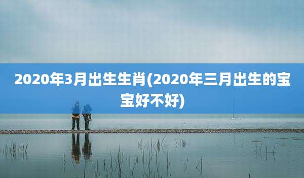 2020年3月出生生肖(2020年三月出生的宝宝好不好)