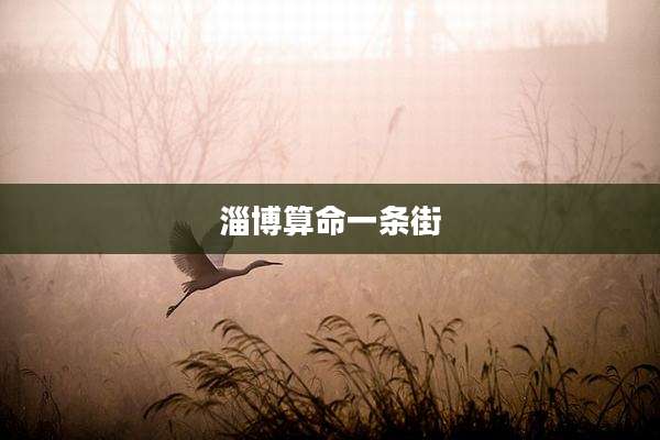 淄博算命一条街