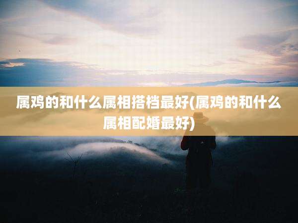 属鸡的和什么属相搭档最好(属鸡的和什么属相配婚最好)