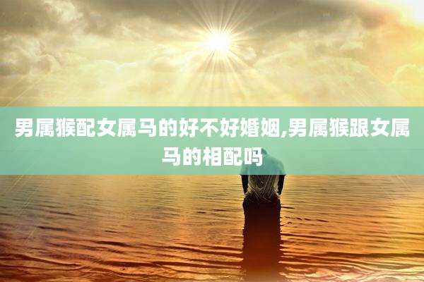 男属猴配女属马的好不好婚姻,男属猴跟女属马的相配吗