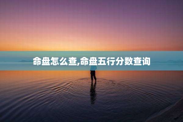 命盘怎么查,命盘五行分数查询