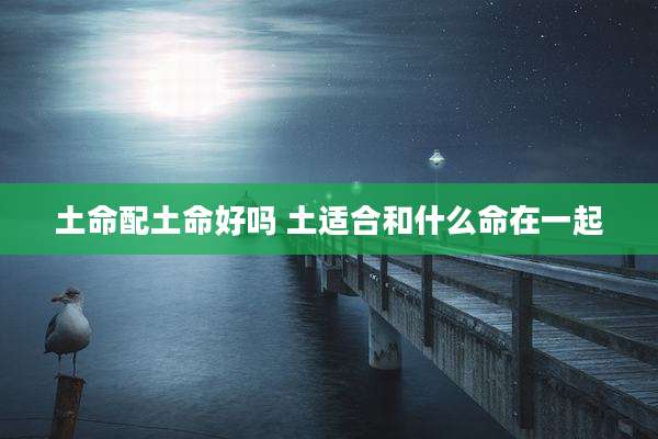 土命配土命好吗 土适合和什么命在一起