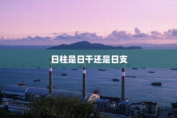 日柱是日干还是日支
