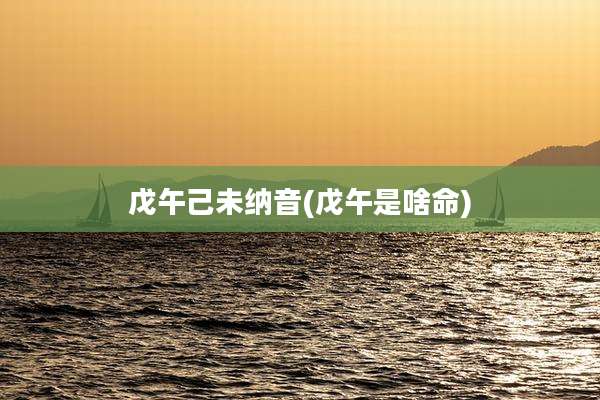 戊午己未纳音(戊午是啥命)