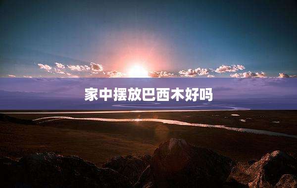 家中摆放巴西木好吗