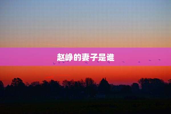 赵峥的妻子是谁