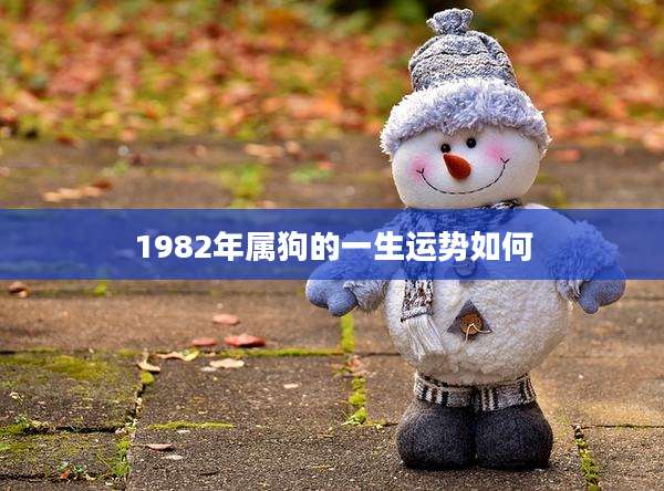 1982年属狗的一生运势如何