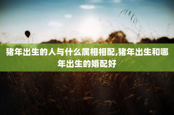 猪年出生的人与什么属相相配,猪年出生和哪年出生的婚配好