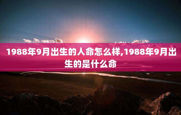 1988年9月出生的人命怎么样,1988年9月出生的是什么命
