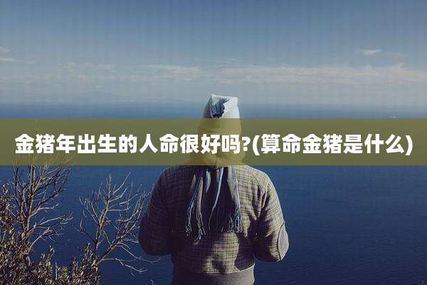 金猪年出生的人命很好吗?(算命金猪是什么)