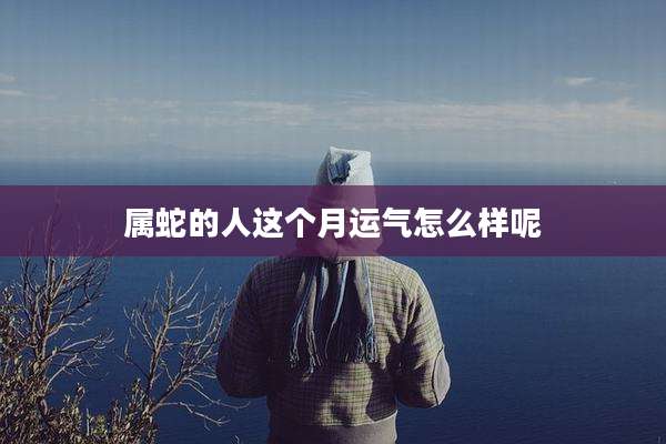 属蛇的人这个月运气怎么样呢