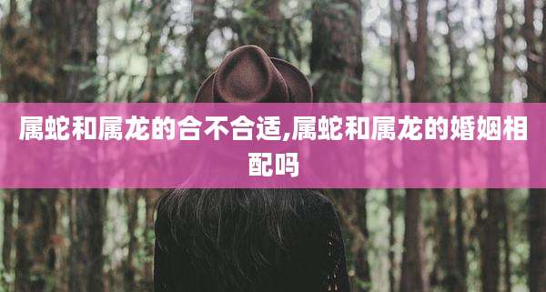 属蛇和属龙的合不合适,属蛇和属龙的婚姻相配吗