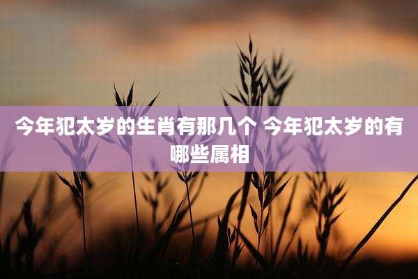 今年犯太岁的生肖有那几个 今年犯太岁的有哪些属相