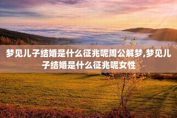 梦见儿子结婚是什么征兆呢周公解梦,梦见儿子结婚是什么征兆呢女性