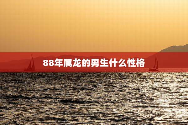 88年属龙的男生什么性格