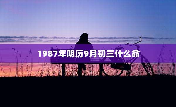 1987年阴历9月初三什么命