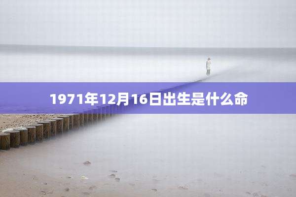 1971年12月16日出生是什么命