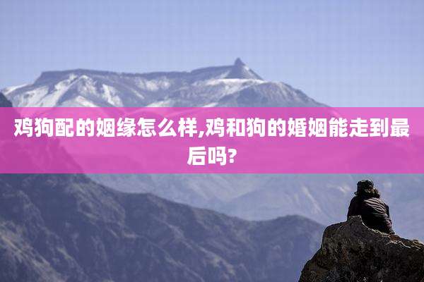 鸡狗配的姻缘怎么样,鸡和狗的婚姻能走到最后吗?