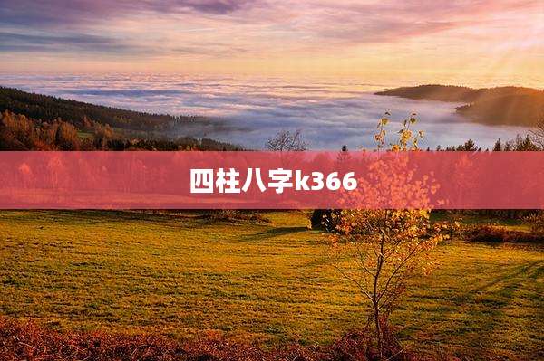 四柱八字k366