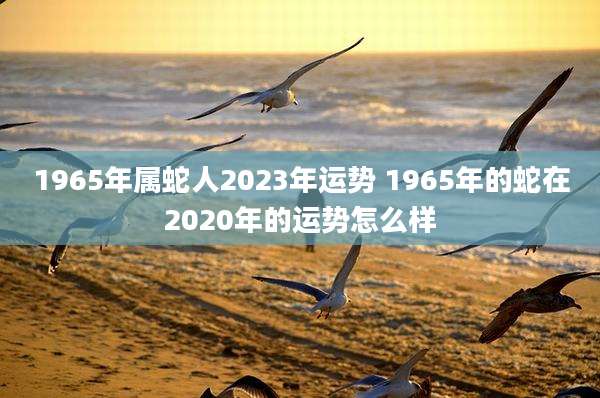 1965年属蛇人2023年运势 1965年的蛇在2020年的运势怎么样