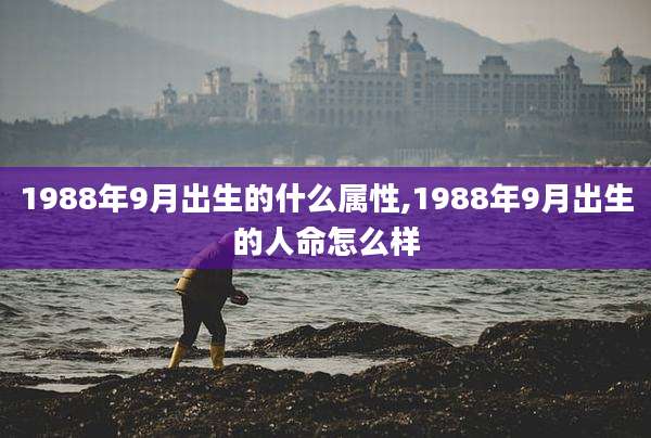 1988年9月出生的什么属性,1988年9月出生的人命怎么样