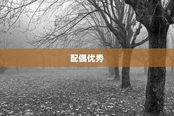 配偶优秀