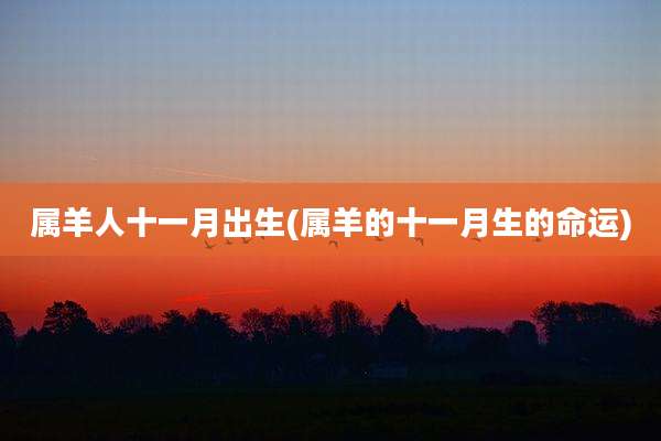 属羊人十一月出生(属羊的十一月生的命运)