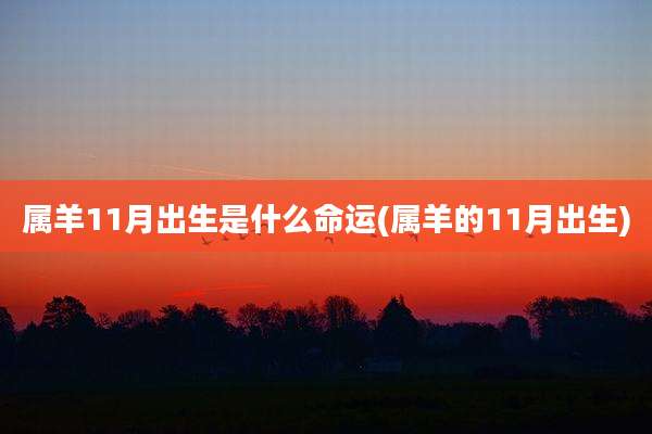 属羊11月出生是什么命运(属羊的11月出生)