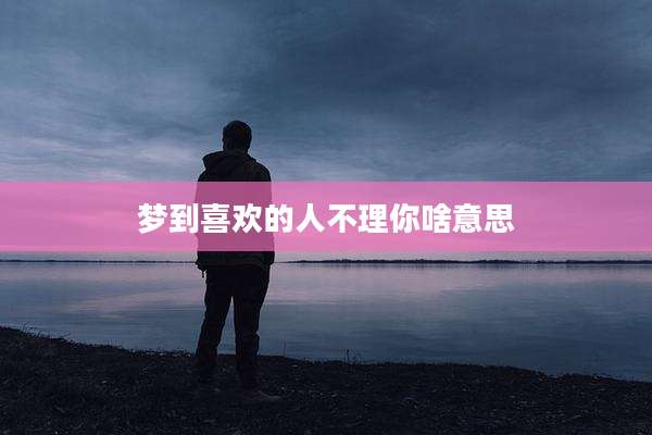 梦到喜欢的人不理你啥意思