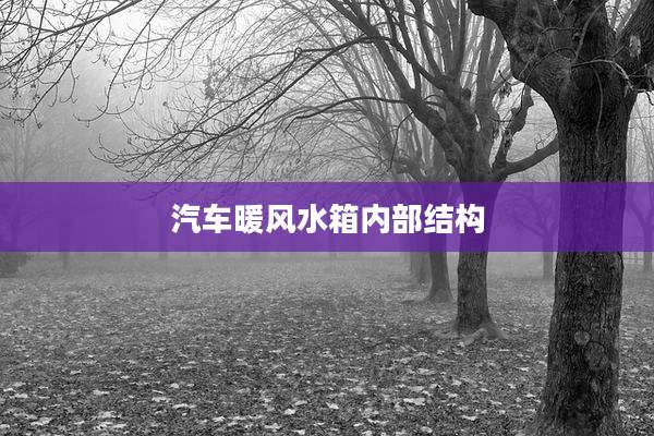 汽车暖风水箱内部结构