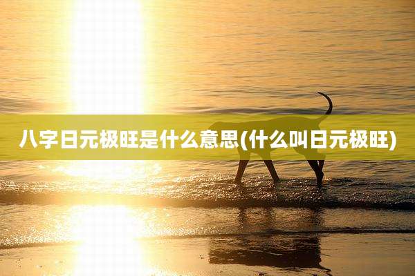 八字日元极旺是什么意思(什么叫日元极旺)