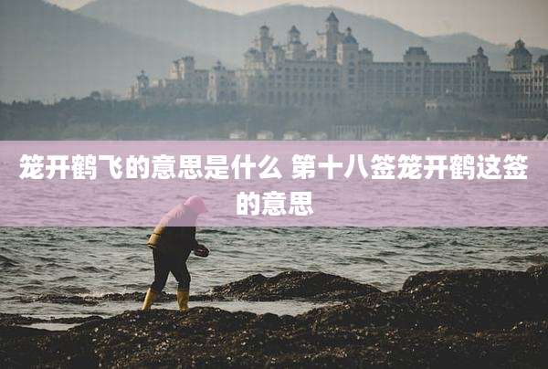 笼开鹤飞的意思是什么 第十八签笼开鹤这签的意思