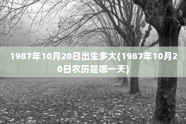 1987年10月20日出生多大(1987年10月20日农历是哪一天)