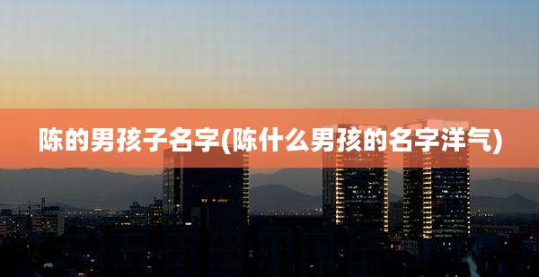 陈的男孩子名字(陈什么男孩的名字洋气)