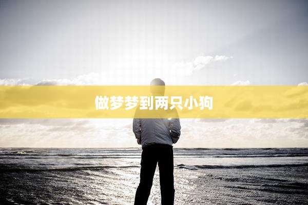 做梦梦到两只小狗