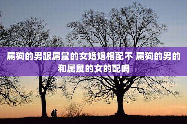 属狗的男跟属鼠的女婚姻相配不 属狗的男的和属鼠的女的配吗
