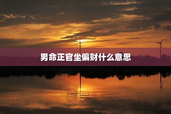 男命正官坐偏财什么意思