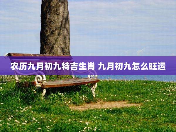 农历九月初九特吉生肖 九月初九怎么旺运