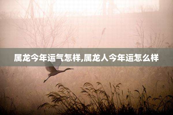 属龙今年运气怎样,属龙人今年运怎么样