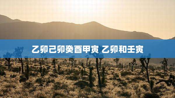 乙卯己卯癸酉甲寅 乙卯和壬寅