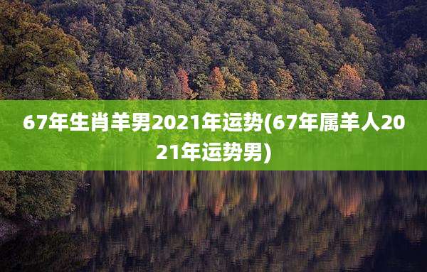 67年生肖羊男2021年运势(67年属羊人2021年运势男)