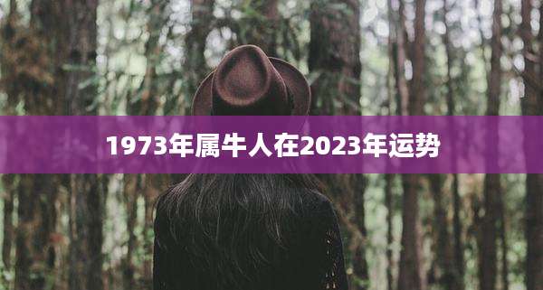1973年属牛人在2023年运势