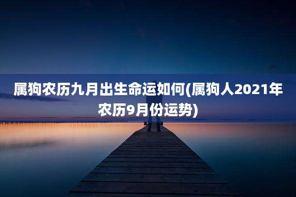属狗农历九月出生命运如何(属狗人2021年农历9月份运势)