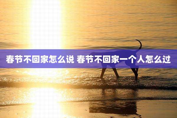 春节不回家怎么说 春节不回家一个人怎么过