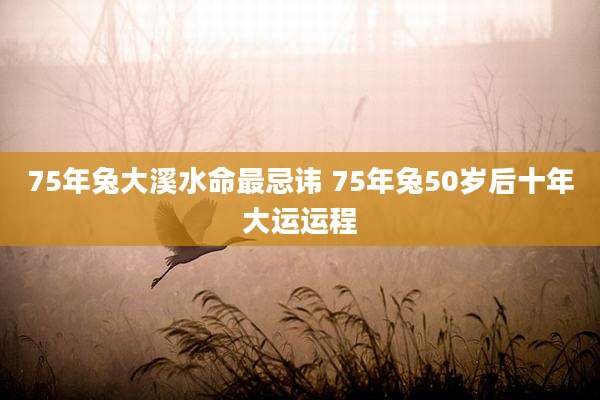 75年兔大溪水命最忌讳 75年兔50岁后十年大运运程
