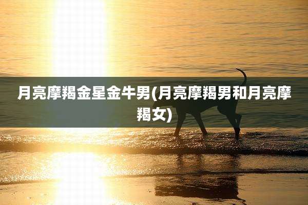 月亮摩羯金星金牛男(月亮摩羯男和月亮摩羯女)