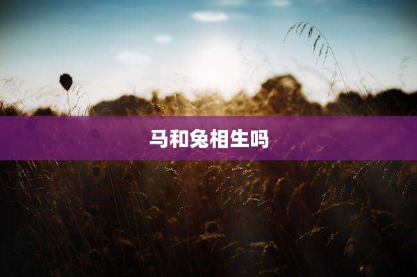 马和兔相生吗