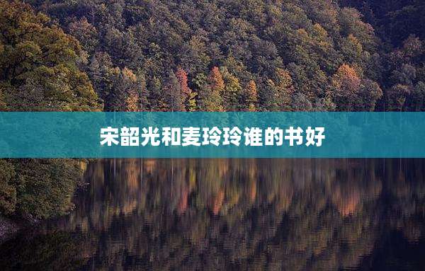 宋韶光和麦玲玲谁的书好