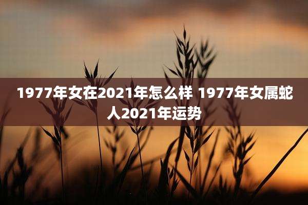 1977年女在2021年怎么样 1977年女属蛇人2021年运势
